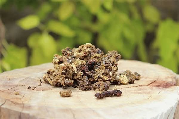 Висококонцентриран воден екстракт от прополис – 20–30%